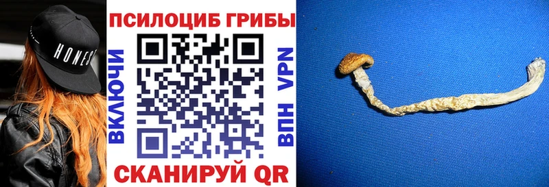 Псилоцибиновые грибы GOLDEN TEACHER купить наркотики цена Нея